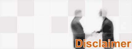 Phoenix Market Research & Consultancy Disclaimer webpage