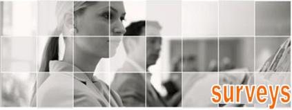 Phoenix Market Research surveys webpage image